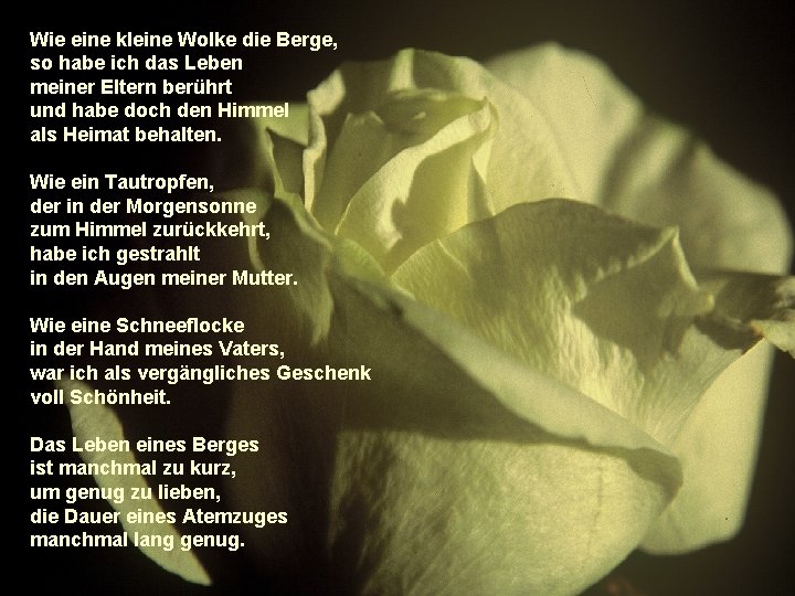 Wie eine kleine Wolke die Berge, so habe ich das Leben meiner Eltern berührt