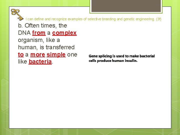 I can define and recognize examples of selective breeding and genetic engineering. (3 f)