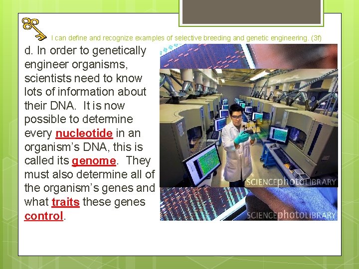 I can define and recognize examples of selective breeding and genetic engineering. (3 f)