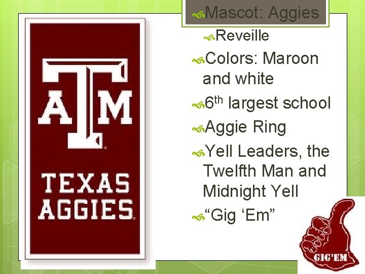  Mascot: Aggies Reveille Colors: Maroon and white 6 th largest school Aggie Ring