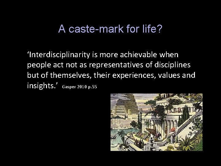 A caste-mark for life? ‘Interdisciplinarity is more achievable when people act not as representatives