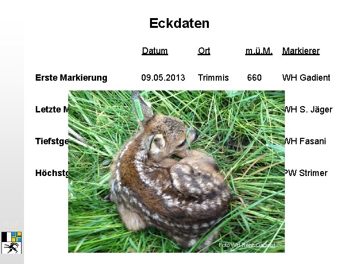 Eckdaten Datum Ort m. ü. M. Markierer Erste Markierung 09. 05. 2013 Trimmis 660