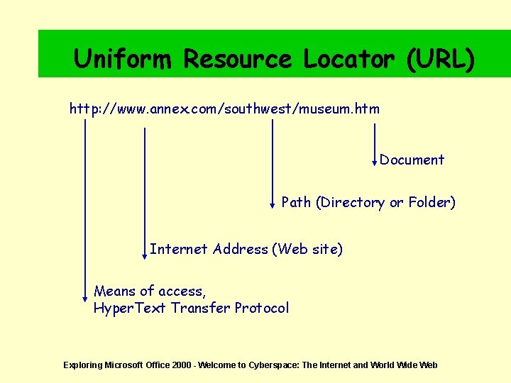 Uniform Resource Locator (URL) http: //www. annex. com/southwest/museum. htm Document Path (Directory or Folder)