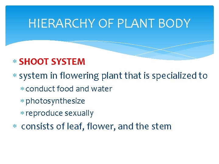 HIERARCHY OF PLANT BODY SHOOT SYSTEM system in flowering plant that is specialized to