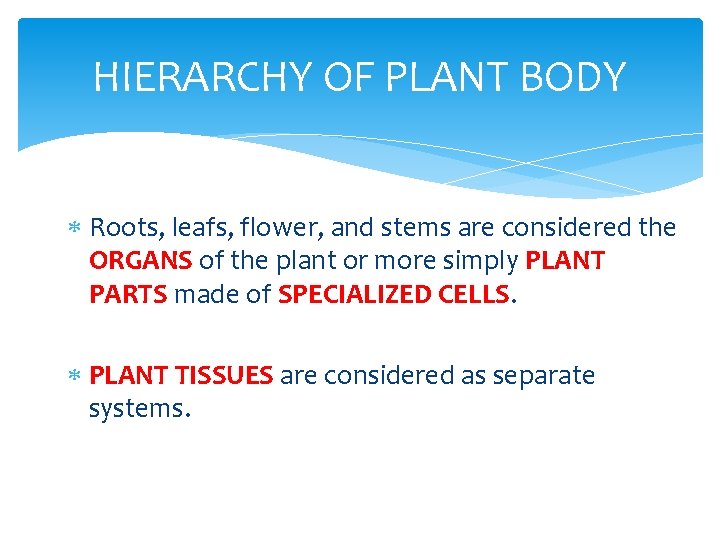 HIERARCHY OF PLANT BODY Roots, leafs, flower, and stems are considered the ORGANS of