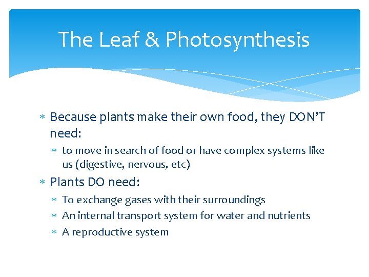 The Leaf & Photosynthesis Because plants make their own food, they DON’T need: to