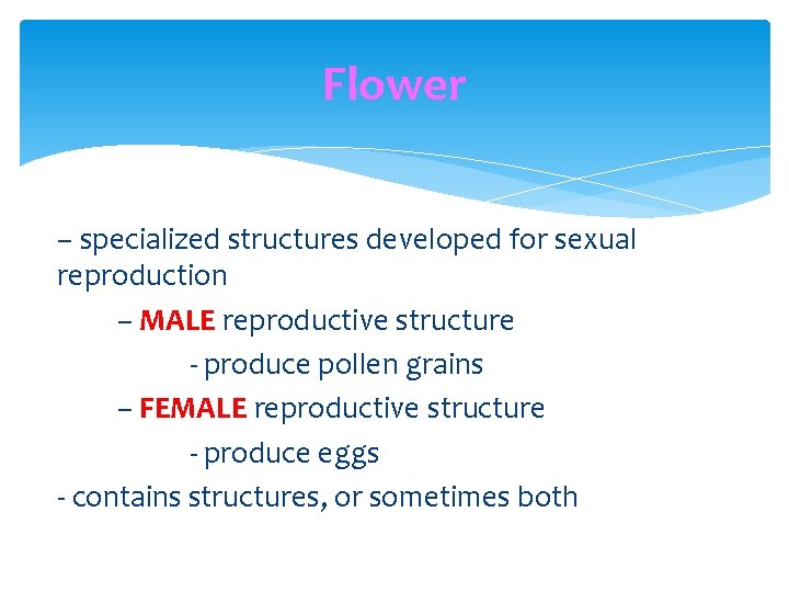 Flower – specialized structures developed for sexual reproduction – MALE reproductive structure - produce