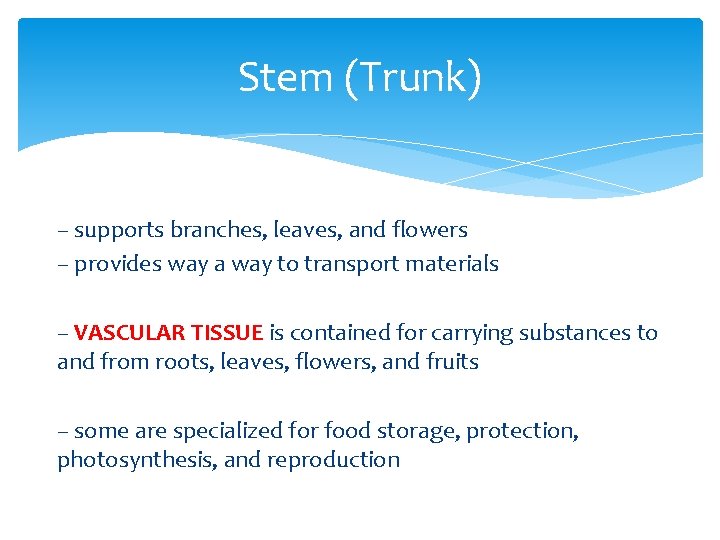 Stem (Trunk) – supports branches, leaves, and flowers – provides way a way to