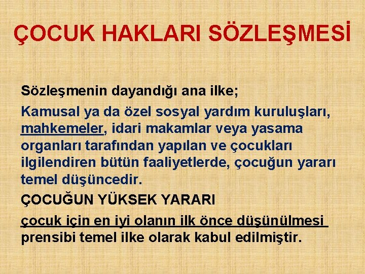 ÇOCUK HAKLARI SÖZLEŞMESİ Sözleşmenin dayandığı ana ilke; Kamusal ya da özel sosyal yardım kuruluşları,