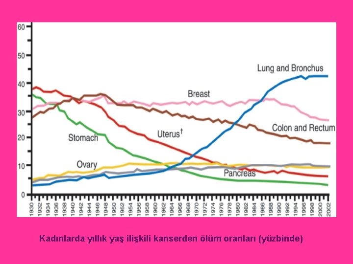 Kadınlarda yıllık yaş ilişkili kanserden ölüm oranları (yüzbinde) 