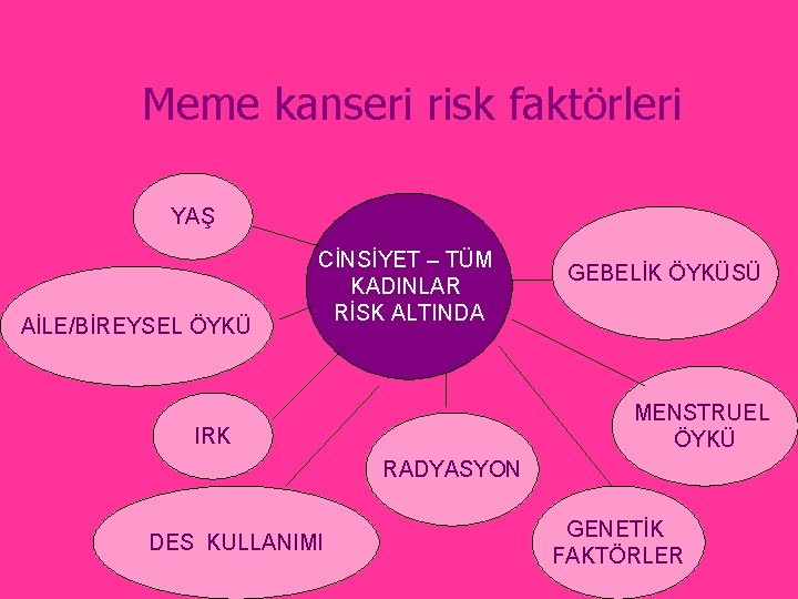 Meme kanseri risk faktörleri YAŞ AİLE/BİREYSEL ÖYKÜ CİNSİYET – TÜM KADINLAR RİSK ALTINDA GEBELİK