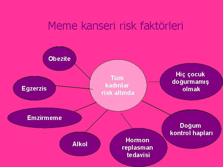 Meme kanseri risk faktörleri Obezite Obesity All Tüm kadınlarare women risk altında Egzerzis Exercise