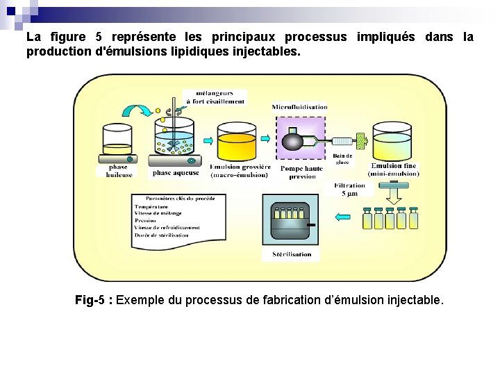 La figure 5 représente les principaux processus impliqués dans la production d'émulsions lipidiques injectables.