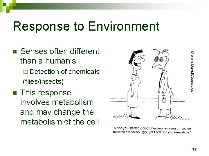Response to Environment n Senses often different than a human’s ¨ Detection of chemicals