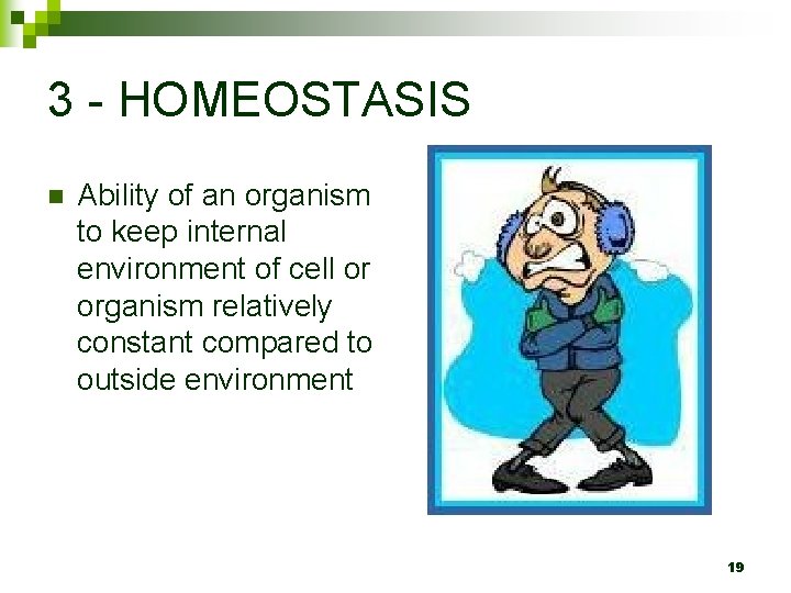 3 - HOMEOSTASIS n Ability of an organism to keep internal environment of cell