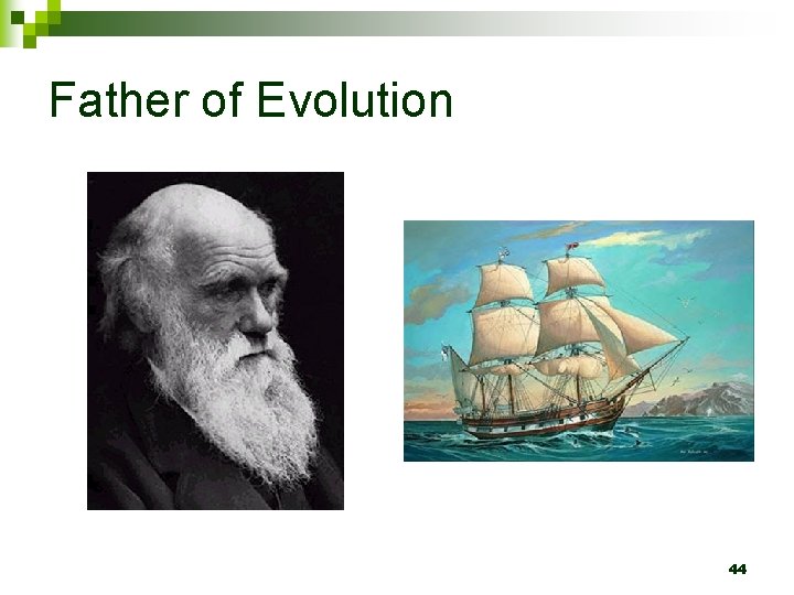 Father of Evolution 44 