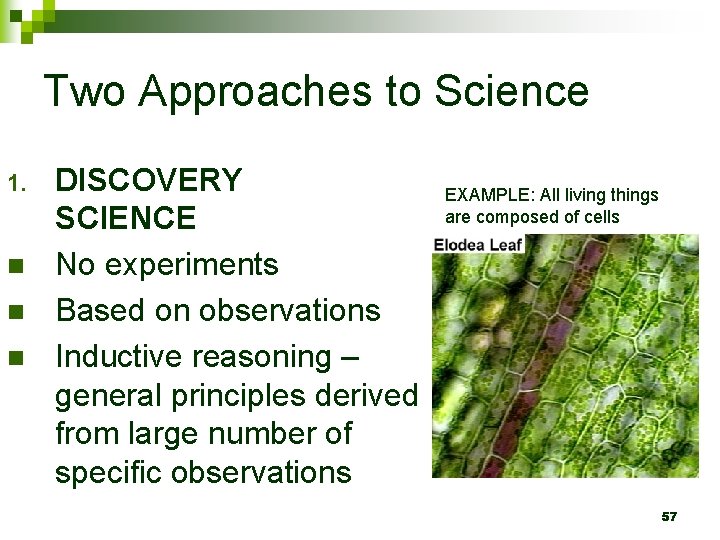 Two Approaches to Science 1. n n n DISCOVERY SCIENCE No experiments Based on