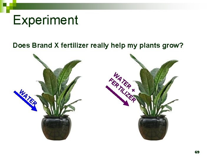 Experiment Does Brand X fertilizer really help my plants grow? W AT ER W