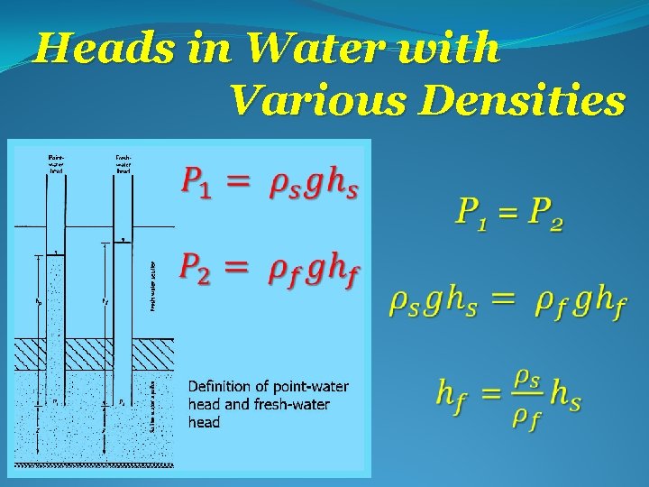 Heads in Water with Various Densities 