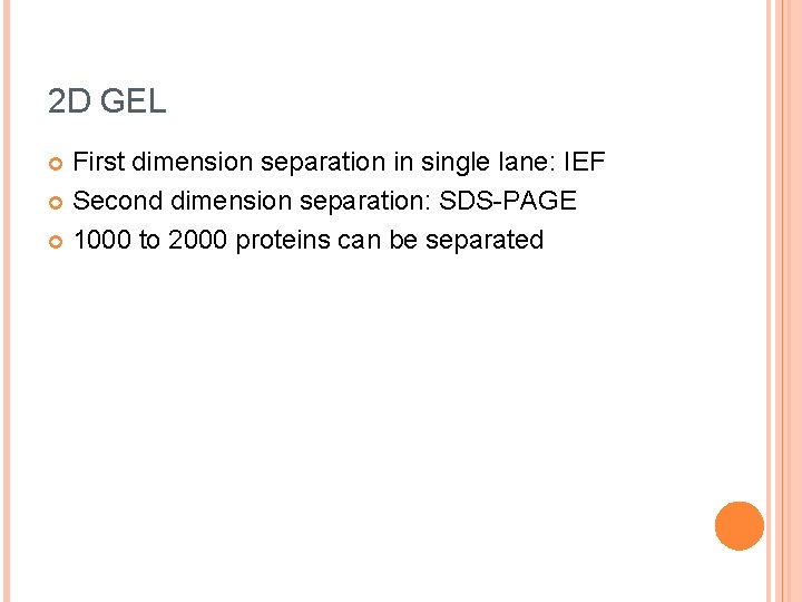 2 D GEL First dimension separation in single lane: IEF Second dimension separation: SDS-PAGE