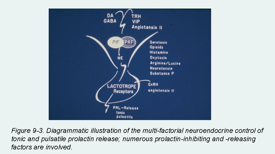 Figure 9 -3. Diagrammatic illustration of the multi-factorial neuroendocrine control of tonic and pulsatile