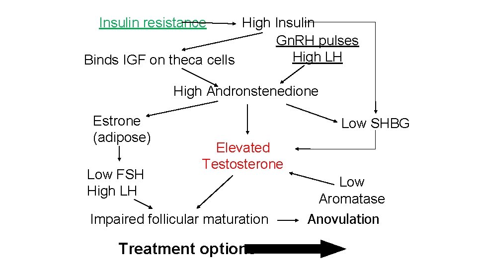 Insulin resistance High Insulin Gn. RH pulses High LH Binds IGF on theca cells