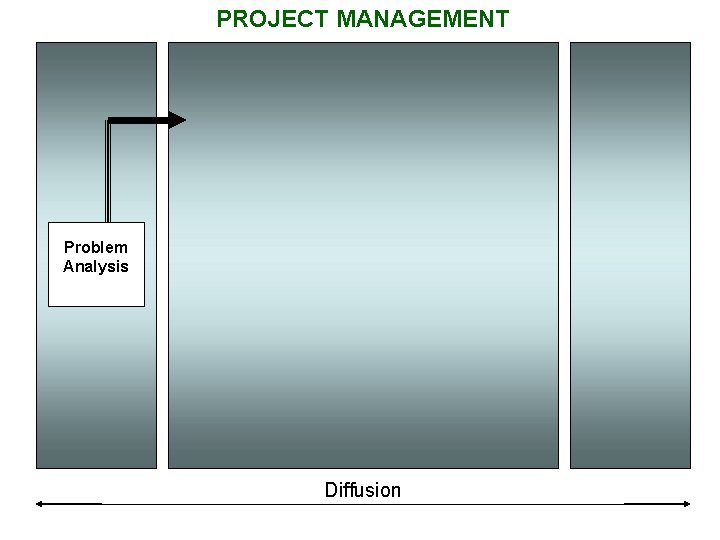 PROJECT MANAGEMENT Problem Analysis Diffusion 
