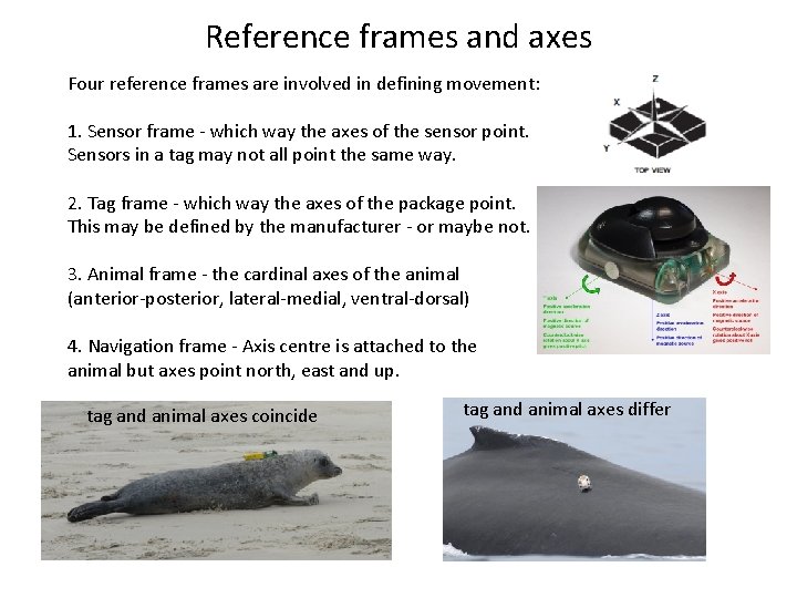 Reference frames and axes Four reference frames are involved in defining movement: 1. Sensor