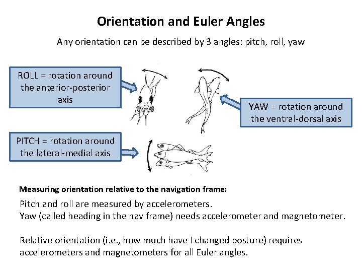 Orientation and Euler Angles Any orientation can be described by 3 angles: pitch, roll,