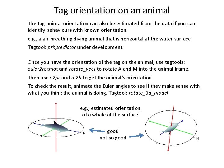Tag orientation on an animal The tag-animal orientation can also be estimated from the