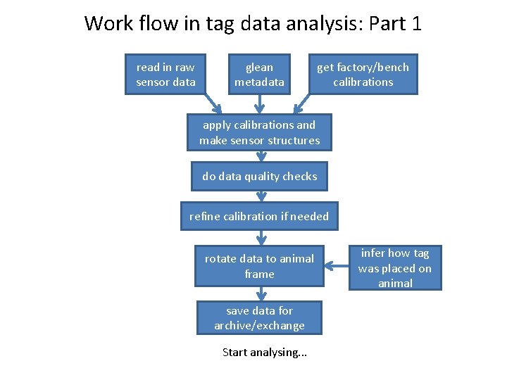Work flow in tag data analysis: Part 1 read in raw sensor data glean