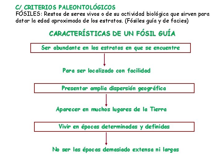 C/ CRITERIOS PALEONTOLÓGICOS FÓSILES: Restos de seres vivos o de su actividad biológica que
