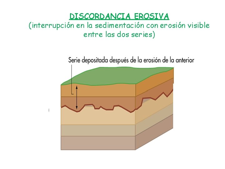 DISCORDANCIA EROSIVA (interrupción en la sedimentación con erosión visible entre las dos series) 