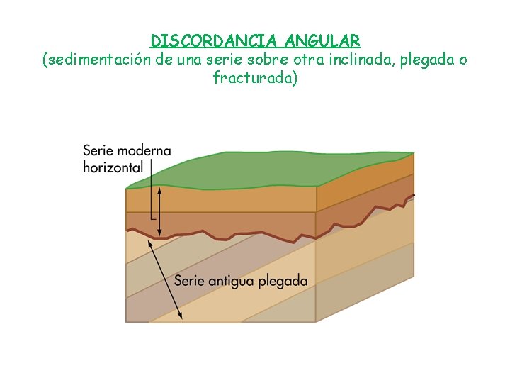 DISCORDANCIA ANGULAR (sedimentación de una serie sobre otra inclinada, plegada o fracturada) 