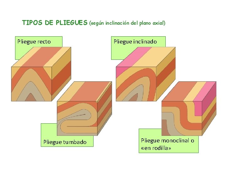 TIPOS DE PLIEGUES (según inclinación del plano axial) Pliegue recto Pliegue tumbado Pliegue inclinado