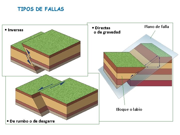 TIPOS DE FALLAS • Inversas • Directas o de gravedad Bloque o labio •