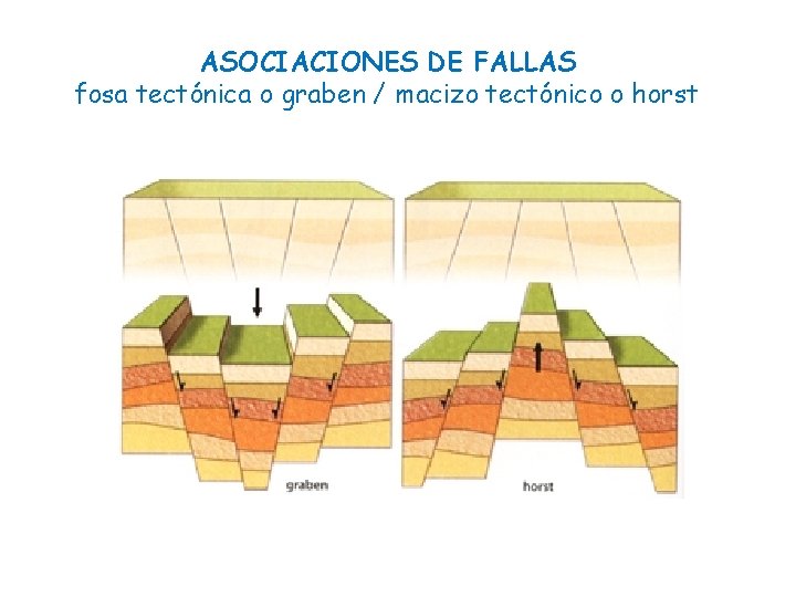 ASOCIACIONES DE FALLAS fosa tectónica o graben / macizo tectónico o horst 