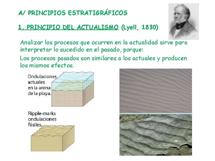 A/ PRINCIPIOS ESTRATIGRÁFICOS 1. PRINCIPIO DEL ACTUALISMO (Lyell, 1830) Analizar los procesos que ocurren