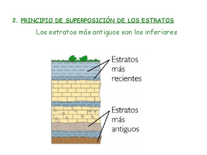 2. PRINCIPIO DE SUPERPOSICIÓN DE LOS ESTRATOS Los estratos más antiguos son los inferiores