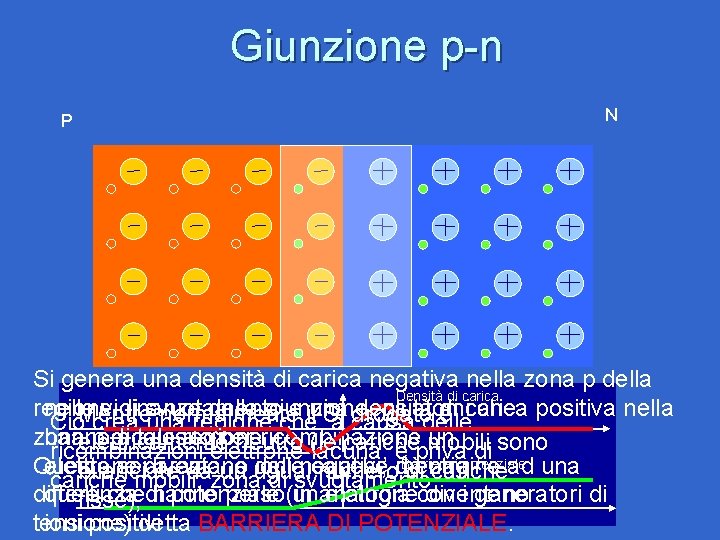Giunzione p-n P N Si genera una densità di carica negativa nella zona p