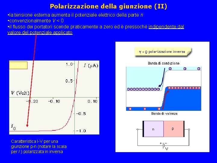 Polarizzazione della giunzione (II) • la tensione esterna aumenta il potenziale elettrico della parte