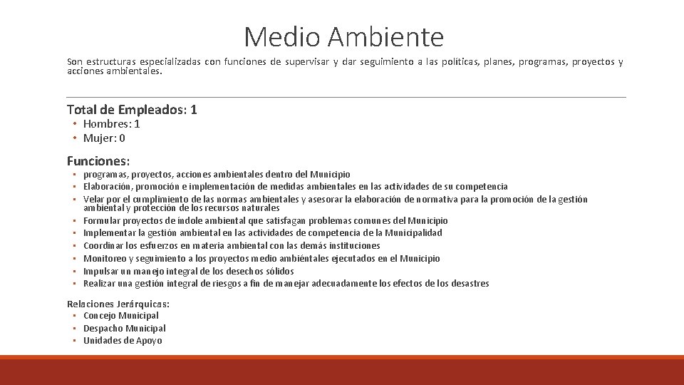 Medio Ambiente Son estructuras especializadas con funciones de supervisar y dar seguimiento a las