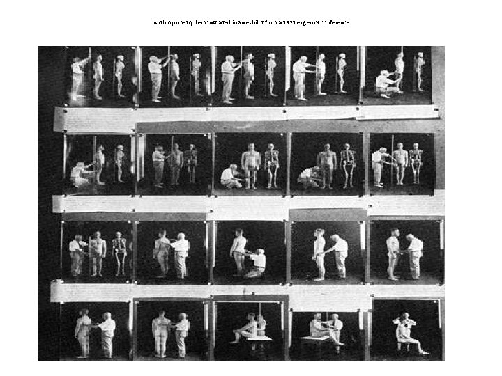 Anthropometry demonstrated in an exhibit from a 1921 eugenics conference 