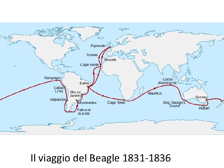 Il viaggio del Beagle 1831 -1836 