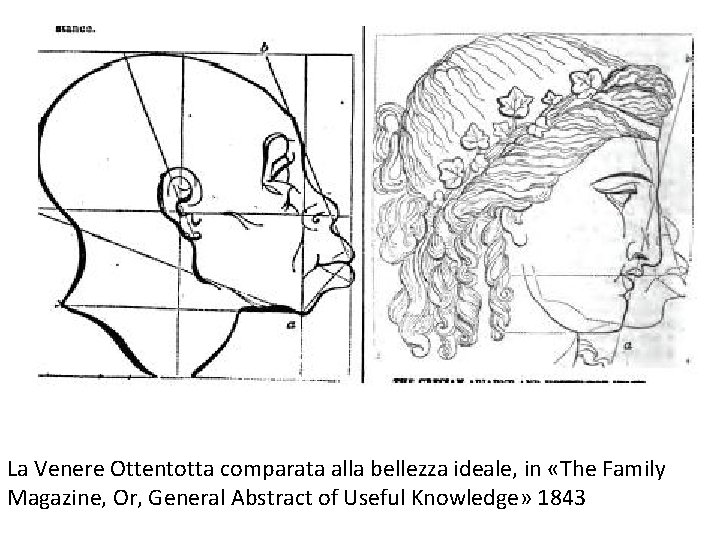 La Venere Ottentotta comparata alla bellezza ideale, in «The Family Magazine, Or, General Abstract