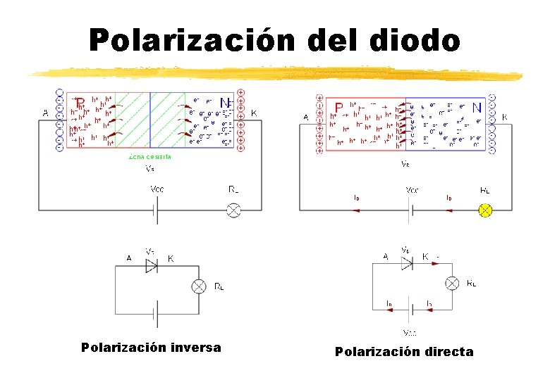 Polarización del diodo Polarización inversa Polarización directa 