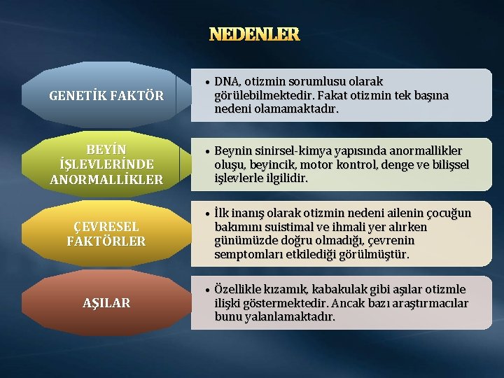 NEDENLER GENETİK FAKTÖR • DNA, otizmin sorumlusu olarak görülebilmektedir. Fakat otizmin tek başına nedeni