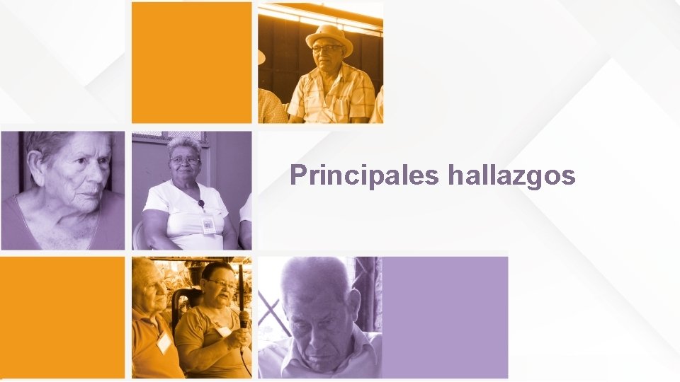 Principales hallazgos 