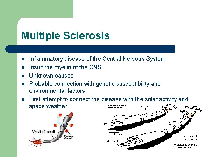 Multiple Sclerosis l l l Inflammatory disease of the Central Nervous System Insult the