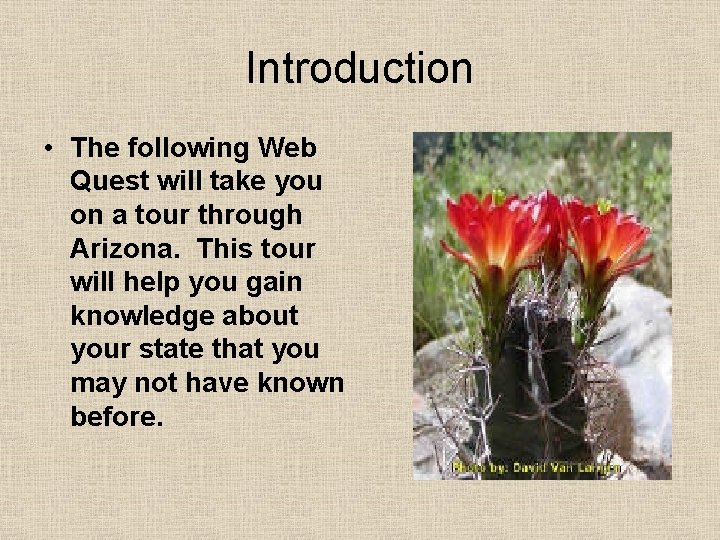 Introduction • The following Web Quest will take you on a tour through Arizona.